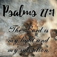 thumbnail image 2 of Lewis, Sheldon 26x26 Gold Ornate Wood Framed with Double Matting Museum Art Print Titled - Psalms, 2 of 4