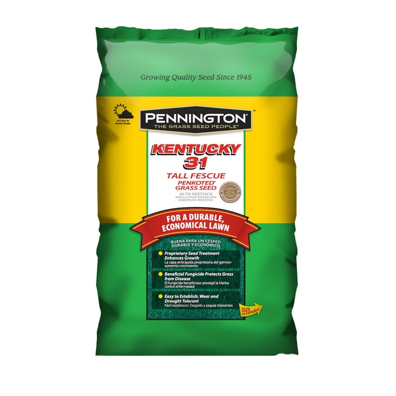 PENNINGTON SEED INC Kentucky 31 Tall Fescue Grass Seed Penkoted 25 lbs