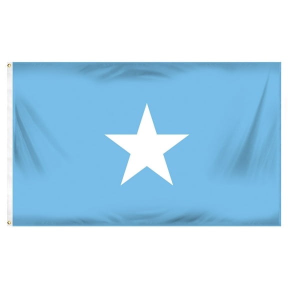 Online Stores Somalia Printed Polyester Flag 8.5in x 9.25in