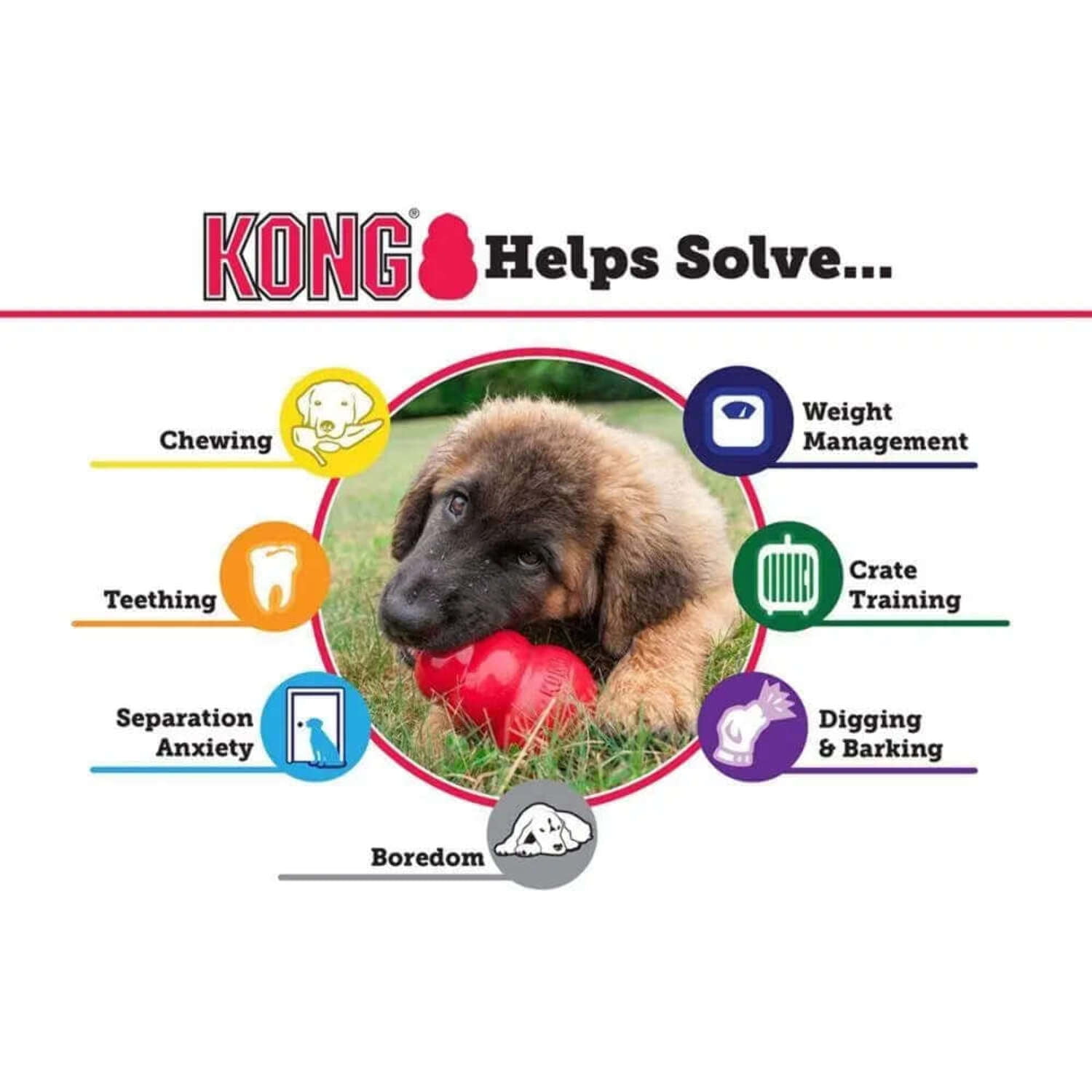 Kong classic x large hotsell