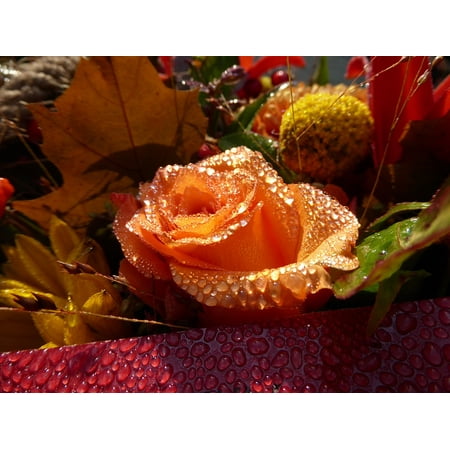 - Peel-n-Stick Poster of Flowers Rose Morning Flower Arrangement Dew Poster 24x16 Adhesive Sticker Poster Print