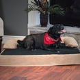 thumbnail image 1 of PETMAKER Orthopedic Memory Foam Pet Bed with Bolster, X-Large, 1 of 8