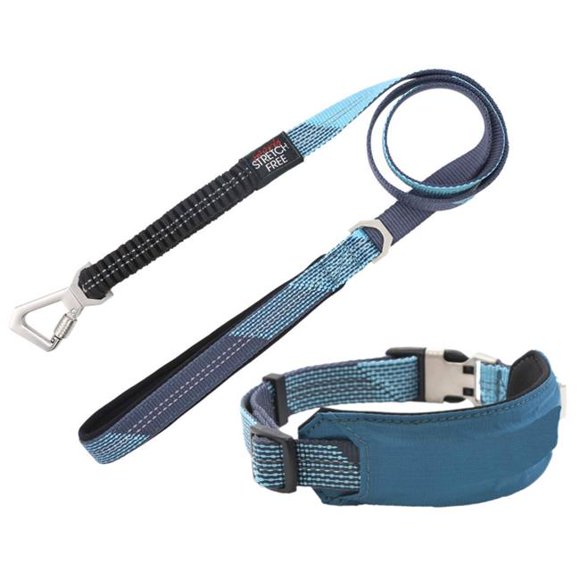 Pet Life CLSH17BLSM Geo-prene 2-in-1 Shock Absorbing Neoprene Padded Reflective Dog Leash & Collar, Blue - Small