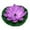 Purple, variant on Solar Waterscape Garden Floating Flower for Bird Bath Fish Tank Pool Enhancing Water Feature with Solar Powered and Decorative Ornaments