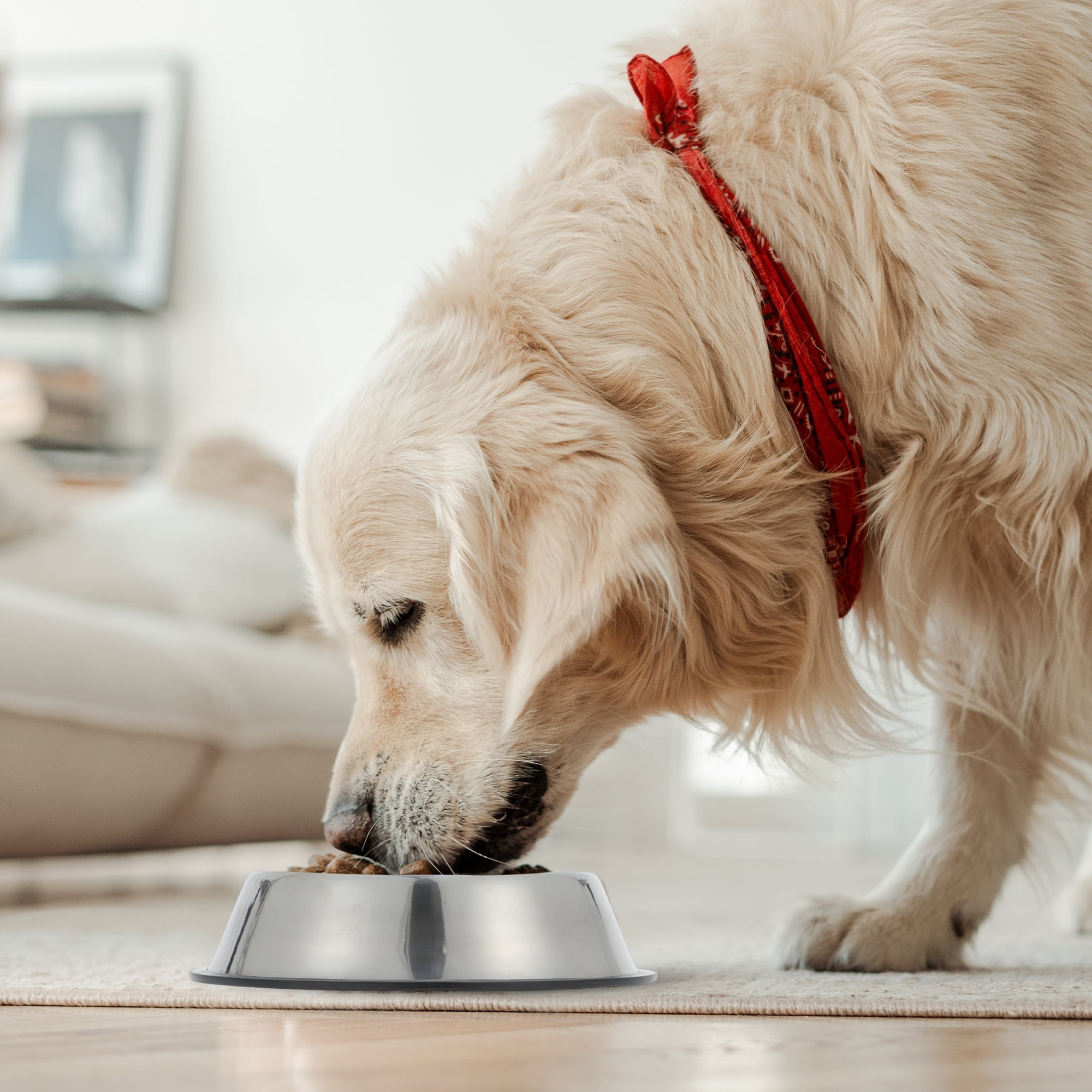 Unique Bargains Slow Feeder Dog Bowls Stainless Steel Black