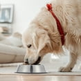 thumbnail image 7 of Unique Bargains Slow Feeder Dog Bowls Stainless Steel Dog Slow Feeder Bowl with Silicone Insert Dog Slow Feeder Bowl Food Bowl for Small Medium Large Dogs Black, 7 of 7