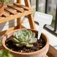 thumbnail image 5 of YingYouFu 100 Pcs Garden Plant Labels Waterproof Plastic Plant Nursery Markers T-Type Plant Name Sign Tag Outdoor Indoor Stakes Stick for Seed Potted Herbs Flowers Vegetables Flowers, 6 Colors, 5 of 7