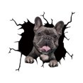 thumbnail image 1 of TIMIFIS Stickers Car Sticker Window Sticker Pet Lover Sticker Cars Crack Decal Walls Laptops Halloween Decorations - Fall, 1 of 3