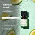thumbnail image 2 of AROMAFUME Bergamot Essential Oil - 100% Natural, 2 of 9