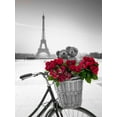 thumbnail image 2 of Frank, Assaf 15x18 Gold Ornate Wood Framed with Double Matting Museum Art Print Titled - Teddy Bears and bunch of red roses on bicycle with Eiffel tower in the background, 2 of 4