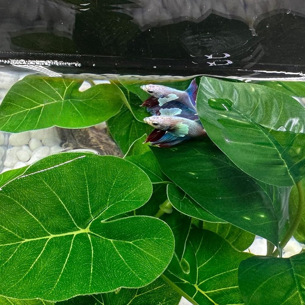 Pets Fish Tank Decor Aquarium Decorations Ornaments Betta Leaf pad Hammock 6inch Plastic Artificial Plant Goldfish Fish Hides Small Tank/Reptiles Plants Driftwood (Green-Type-A)