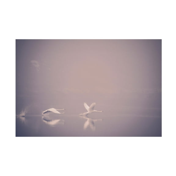 Canvas Wall Art - Jonas Dalheim 'Foggy Takeoff' Wall Art for Living Room, Bedroom, or Office Décor by Trademark Fine Art - 19 x 12 Inches
