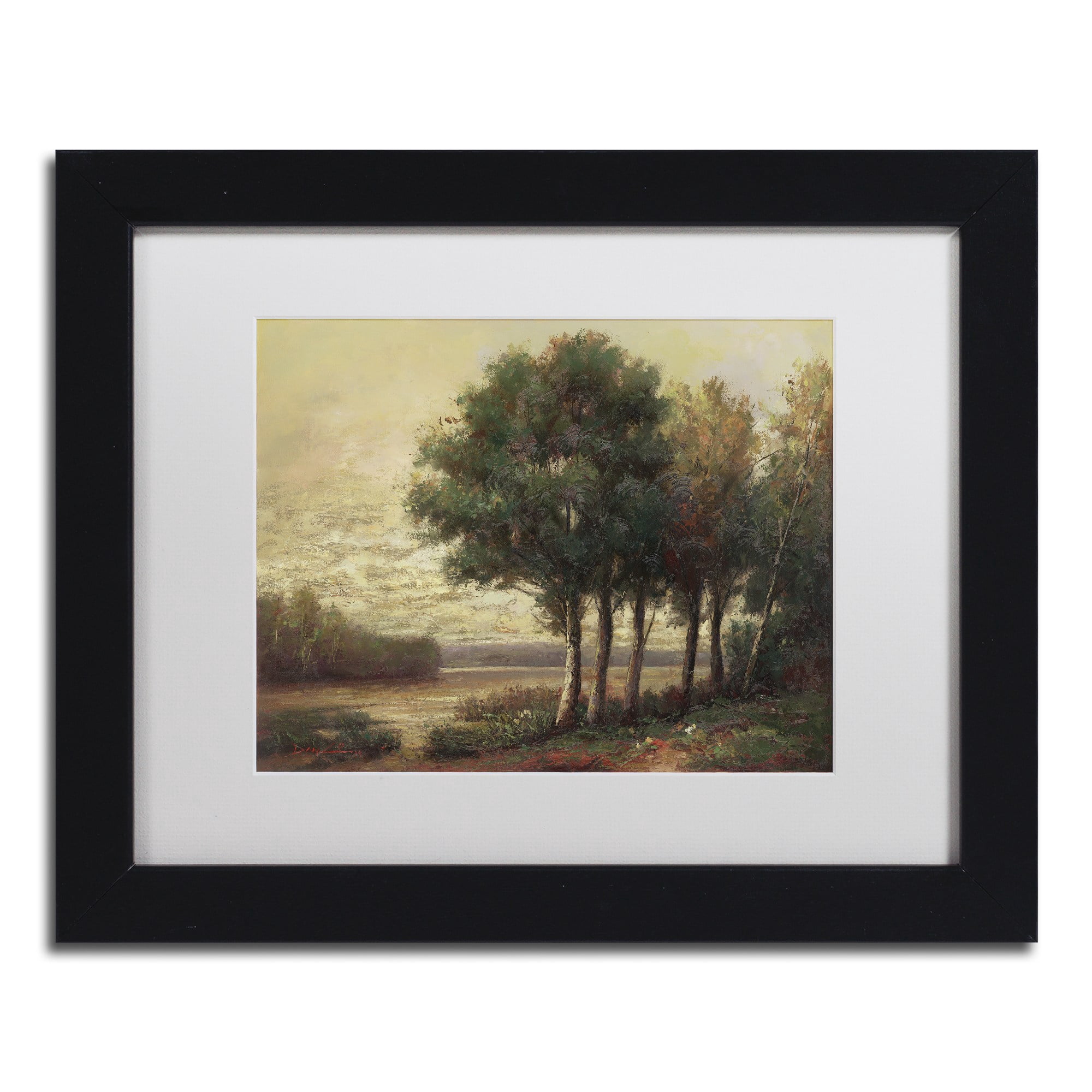 Trademark Fine Art "Tranquility" Canvas Art by Daniel Moises, White Matte, Black Frame