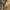 Realtree Edge, variant on Rocky ProHunter Insulated Waterproof Camo Parka