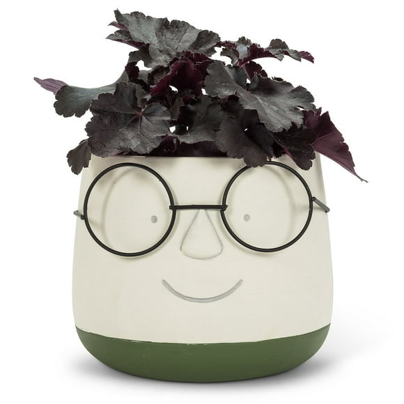 Set of 4 Large Face Planter with Glasses