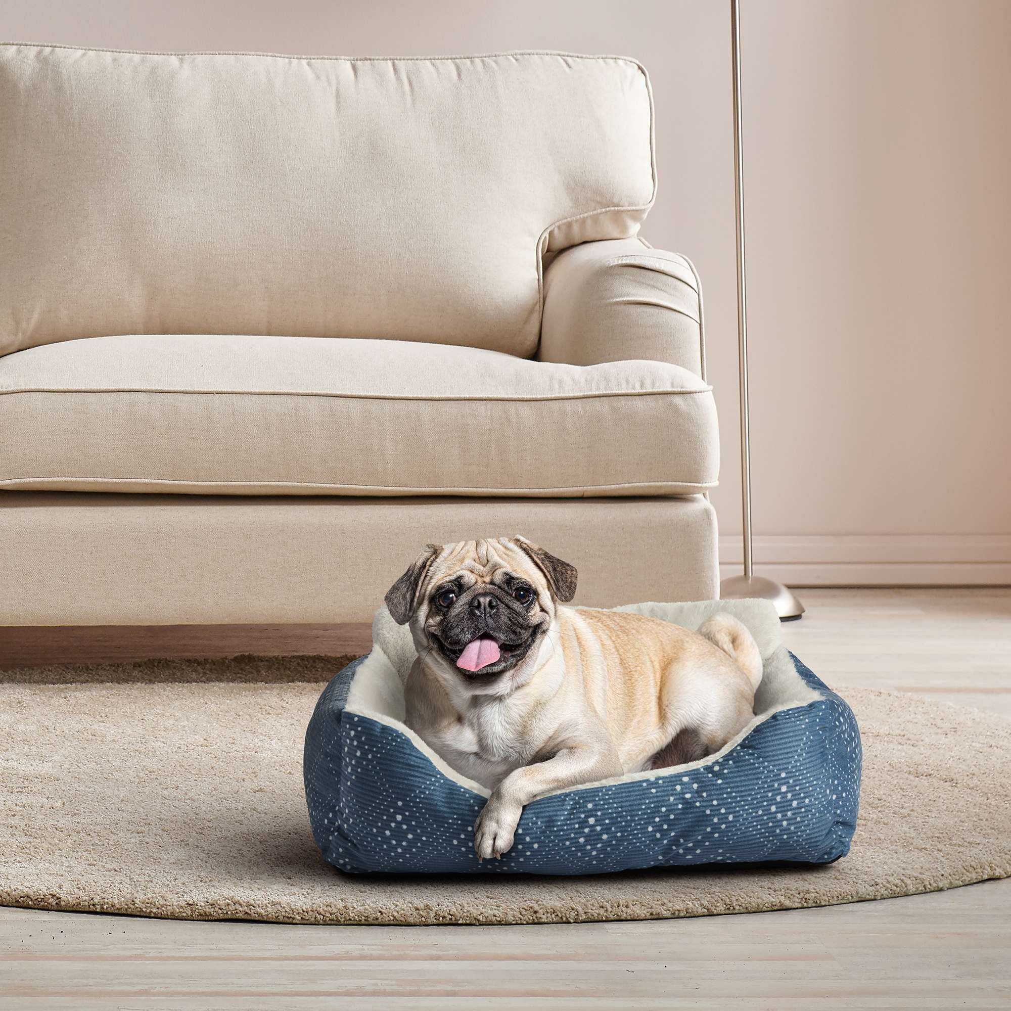 (3 pack) Vibrant Life Puppy Dog Bed, Plush Bolster Dog for Small Dogs, Small, 21" x 17", Blue