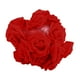 thumbnail image 5 of Guirnalda de luces de flores artificiales, lámpara decorativa de 9,84 pies, 20 LED rojo, 5 of 8
