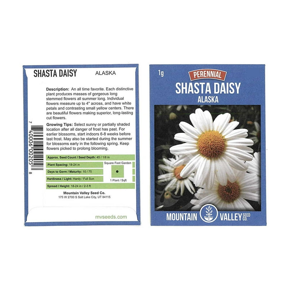 Shasta Daisy Flower Seeds Alaska Variety 1 Gram Seed Packet White