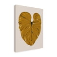 thumbnail image 4 of Trademark Fine Art Francesco Gulina Philodendron Gloriosum Mustard Canvas Wall Art, 4 of 4