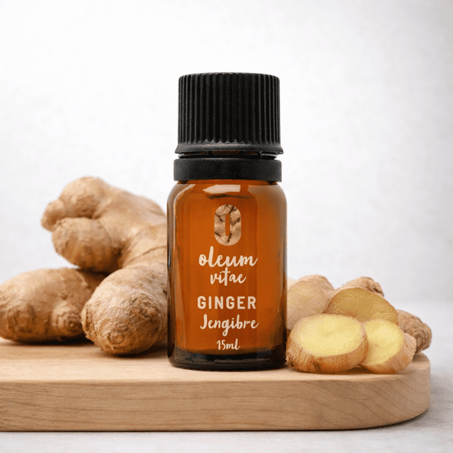 Aceite Esencial de Jengibre OLEUM VITAE 100% Puro y Organico 15ml