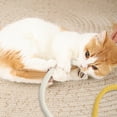 thumbnail image 3 of Great promotion! Cat Bit Rope Toy For Self-pleasure, Relief From Boredom, Teeth Cleaning, Catnip, Gall Fruit, Cat Stick Supplies, 3 of 4