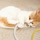 thumbnail image 3 of ¡Campaña con descuento!Juguete de cuerda con mordedor para gato, para placer personal, alivio del aburrimiento, limpieza de dientes, hierba gatera, fruta de agalla, suministros de palitos para gato, 3 of 5