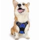 thumbnail image 4 of Dog Harness No Pull Pet Harness Adjustable Soft Padded Dog Vest Pet Harnesses, 4 of 5
