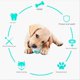 thumbnail image 2 of Puppy Toys for Teething Fun Dog Toys Innovative Chew Toys Lake Blue, 2 of 2