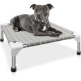 Stable Elevated Pet Cot with HighQuality Stainless Steel Small Breed