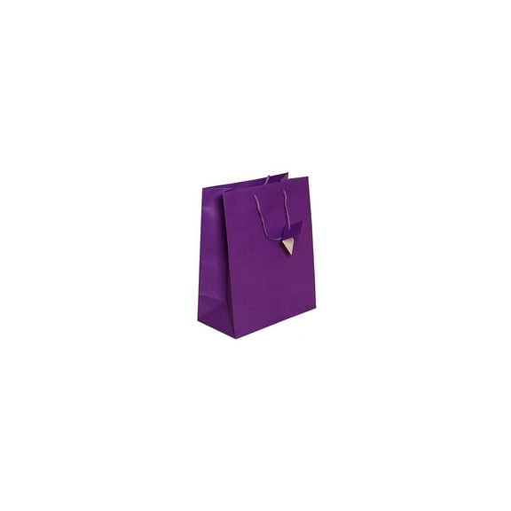 JAM PAPER Gift Bags with Rope Handles Large 10 x 13 x 5 Purple Matte 3/Pack (673MAPUA)