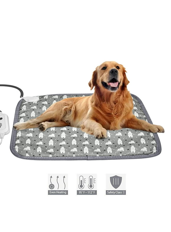 Heated Car Blankets in Other Interior Car Accessories