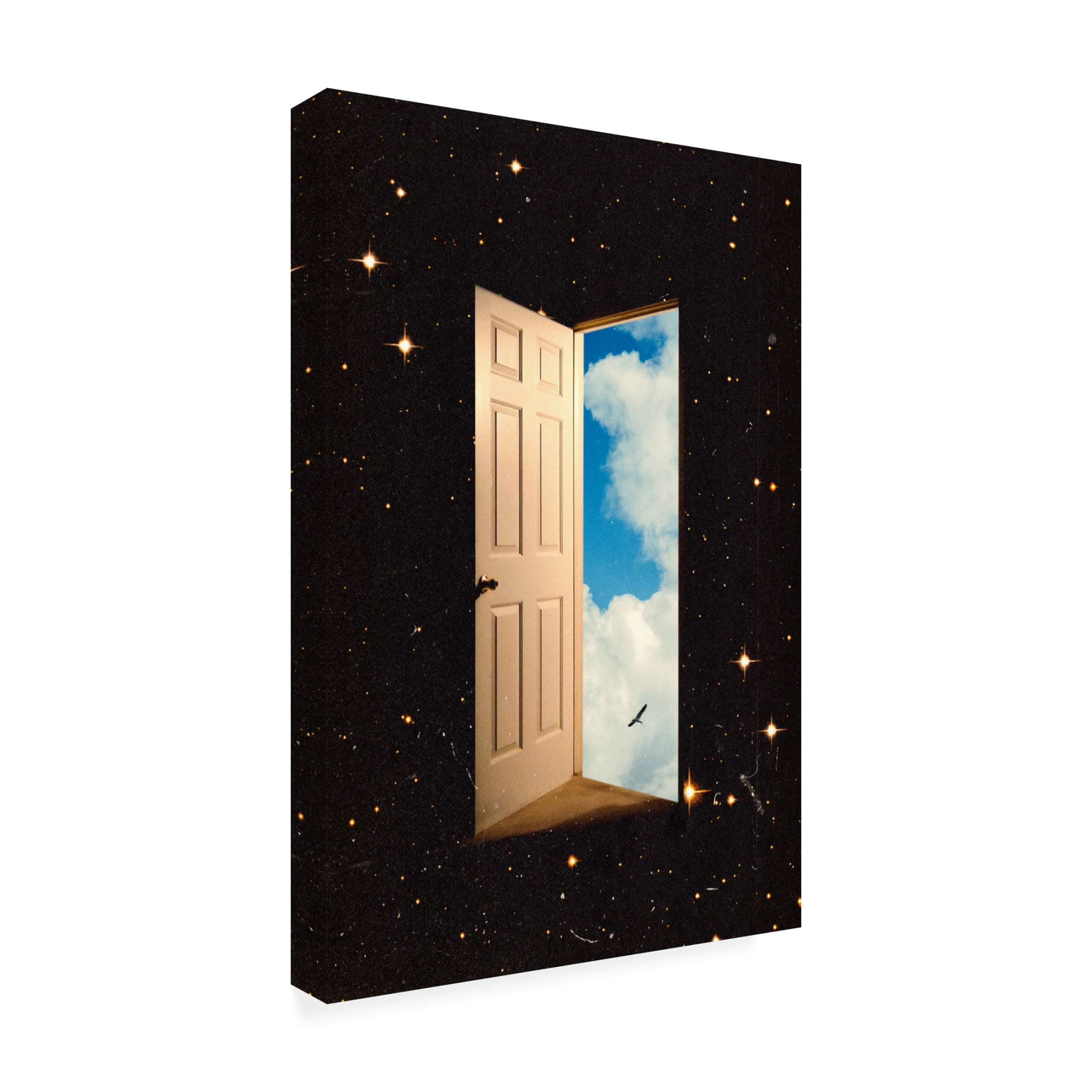 Trademark Fine Art Taudalpoi The Portal Canvas Wall Art