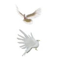 thumbnail image 1 of Conjunto De 2 Unid. Plumas Artificiales. Pájaro. Pájaros Falsos. Jardín. Decoración De Bonsáis. Soledad Pájaro artificial de la paloma, 1 of 9