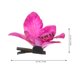 thumbnail image 2 of unbranded 20Ud Accesorio De Con Artificial Ideal Para Bodas Banquetes Y Uso Diario, 2 of 6