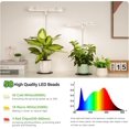 thumbnail image 3 of Grow Light Full Spectrum LED Plant Light with Base Height Adjustable Growing Lamp with Auto On/Off Timer H/H/H Dimmable Brightness Ideal for Home Desk Plant Lighting, 3 of 7