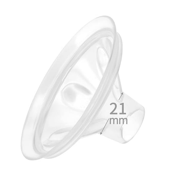 Flanges Spectra Pump