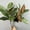 Green, variant on Lifelike Artificial Plants, Faux Bushes, UV Resistant for Home Decor in Living Room, Office, and Bedroom (Green)