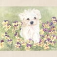 thumbnail image 2 of CafePress - Maltese Puppy Tote Bag - Unisex Canvas Tote Bag, Beige, 1-Piece, 2 of 6
