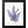 thumbnail image 2 of Wild Apple Portfolio 15x18 Black Modern Framed Museum Art Print Titled - Botanical Fern IV Blue Light, 2 of 5