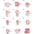 thumbnail image 3 of patch De Repassage Rose Lettres 26 Pices A-z Lettre Patch Forme Animale Motif Bricolage Repassage Ou Couture Patch Jeans Veste Sac Dos Applicatio, 3 of 5