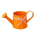 thumbnail image 6 of Watering Can for Indoor Plants, 35 oz/1000 ml Metal Stainless Steel Pot with Long Spout for House Bonsai Outdoor Garden Flower Decorative,Orange, 6 of 7