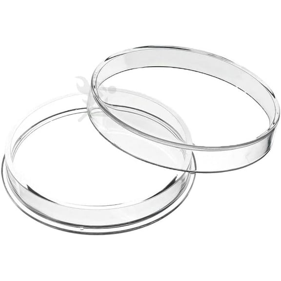 OnFireGuy 10pcs High Relief 38mm Direct Fit for 2oz Canadian Creatures of The North and Ice Age Series Coins