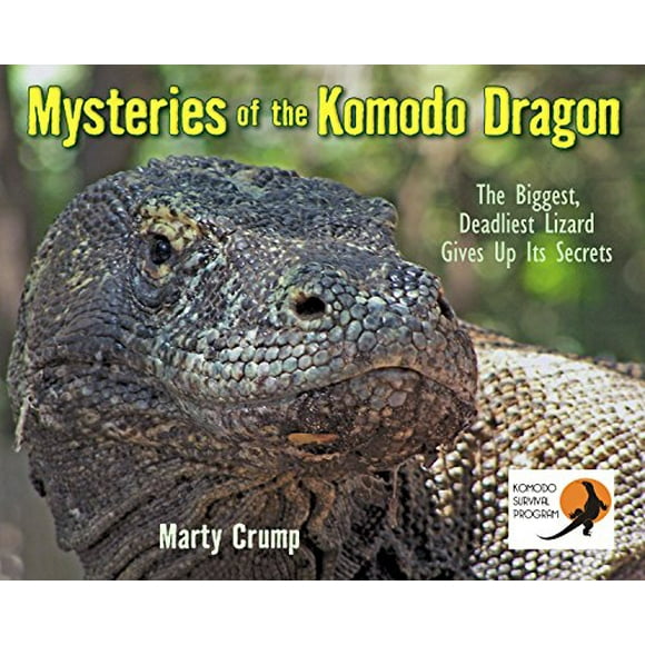 Mystères du Dragon de Komodo, le Plus Grand et le Plus Mortel des Lézards Abandonne Ses Secrets