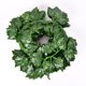 thumbnail image 2 of Planta de hojas de 80 hojas, tira pequeña, simulación de hojas de ratán, hojas verdes, enredadera de simulación, enredadera decorativa, hojas de enredadera, 2 of 4