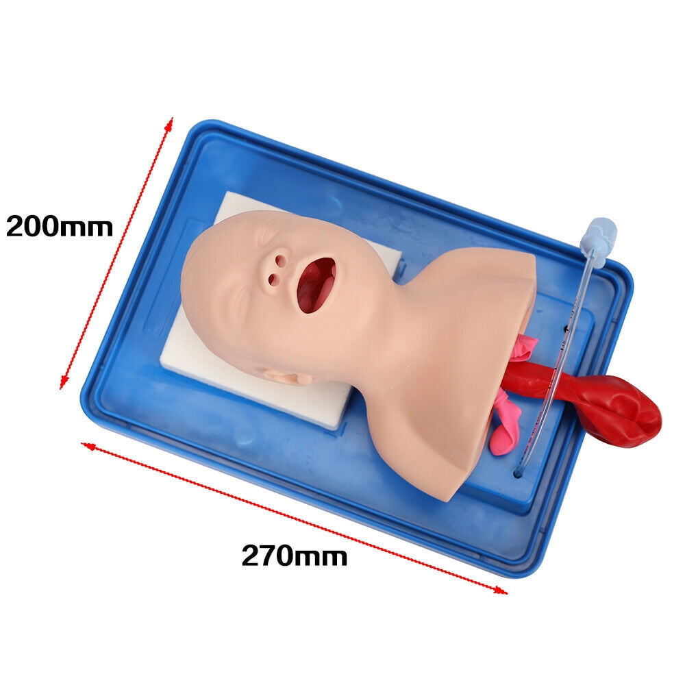 Intubation Manikin, Study Teaching Baby Model Lab Airway Management Training Infant Tracheal Manikin with Tube