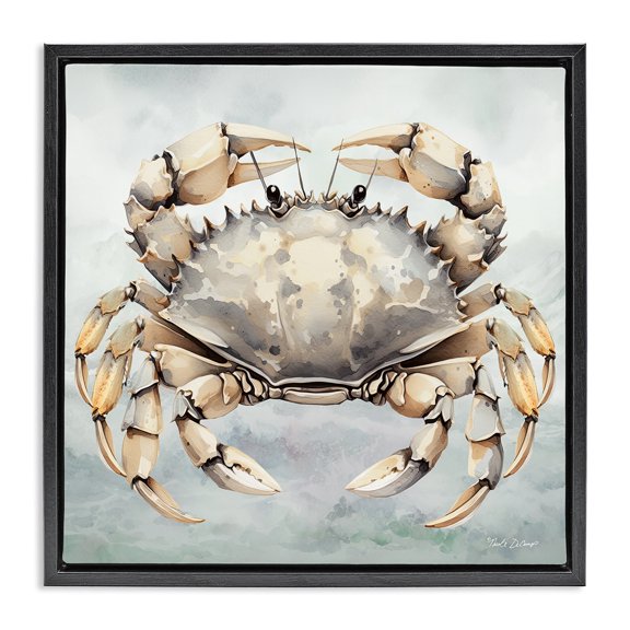 Stupell Industries Coastal Detailed Sea Crab Black Floating Frame Canvas Art, 18 x 18, by Nicole DeCamp