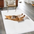thumbnail image 2 of Area Rugs 2.7'x5', Funny Foxes Carpet for Living Room Bedroom Dining Room, Cute Art Fun Lovely Animals on Toilets Throw Kitchen Rugs Non Slip Washable Rectangle Indoor Outdoor Rugs, 2 of 8