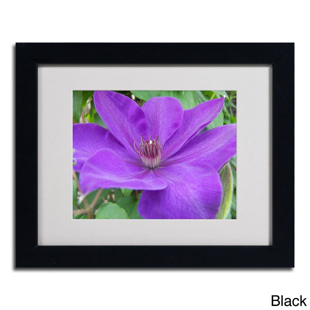 Trademark Fine Art "Purple Flower" by Monica Fleet, Wood Frame
