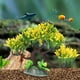 thumbnail image 4 of Plantas de Agua Artificiales de Acuario Guapo, Plantas de Agua de Simulació de Peces, Resina para Peces de Acuario, 4 of 7