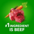 thumbnail image 4 of Iams Proactive Health Minichunks Beef & Rice Recipe Adult Dry Dog Food 13.6kg, 4 of 18